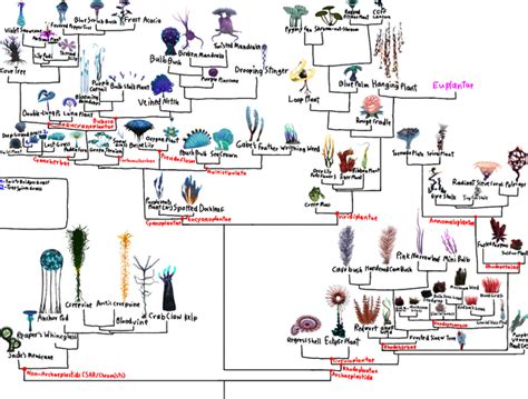 subnautica phylogenetic tree|Subnautica flora phylogenetic tree (almost all of it, at least.